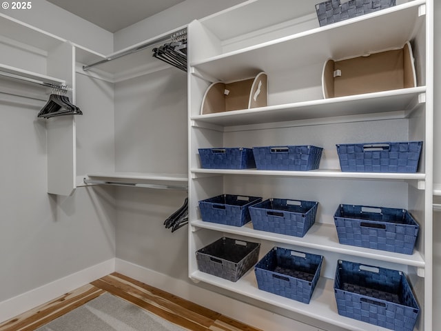 spacious closet featuring wood finished floors