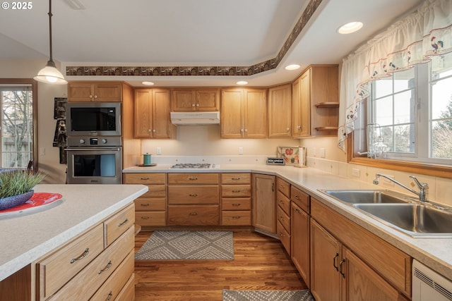 kitchen featuring under cabinet range hood, appliances with stainless steel finishes, a wealth of natural light, and a sink