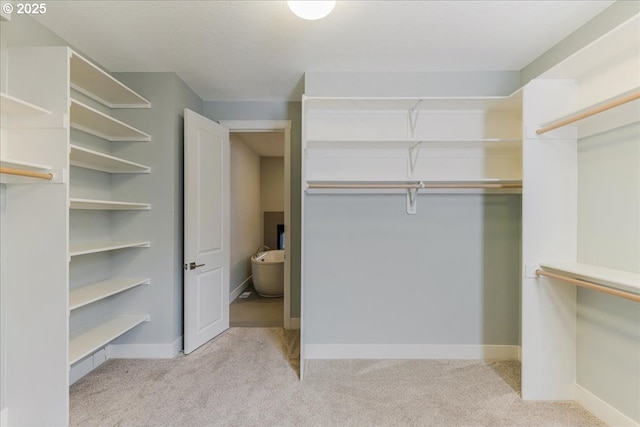 32092 SW Willamette Way E, Wilsonville, OR 97070 - walk in closet with carpet flooring