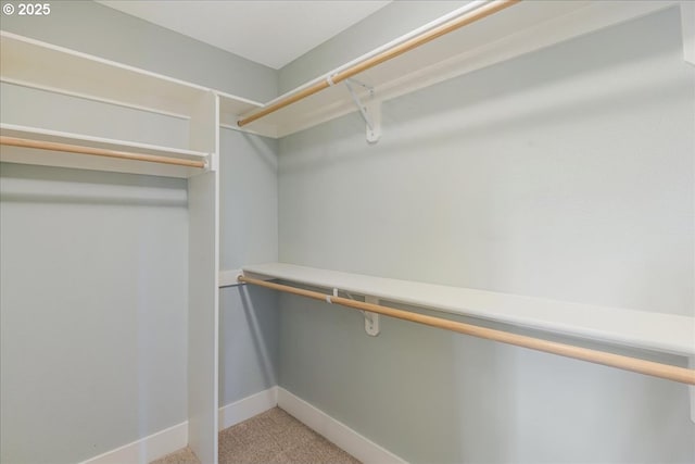 32092 SW Willamette Way E, Wilsonville, OR 97070 - walk in closet featuring light carpet