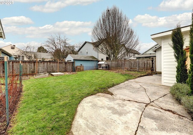 view of yard featuring a patio area