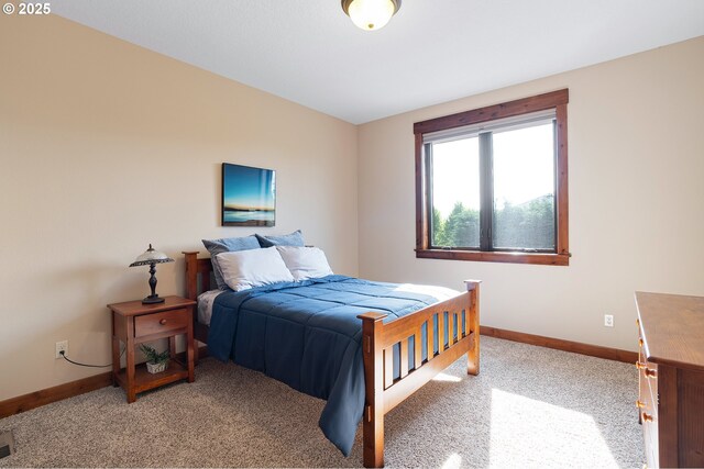 bedroom with baseboards and carpet floors