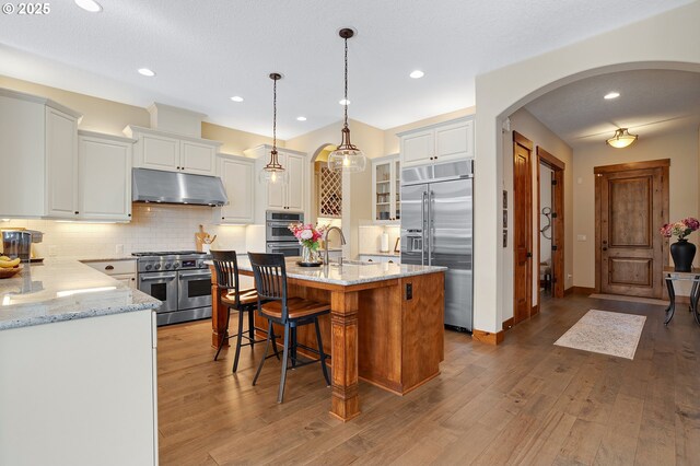 kitchen featuring under cabinet range hood, white cabinets, light stone counters, arched walkways, and premium appliances
