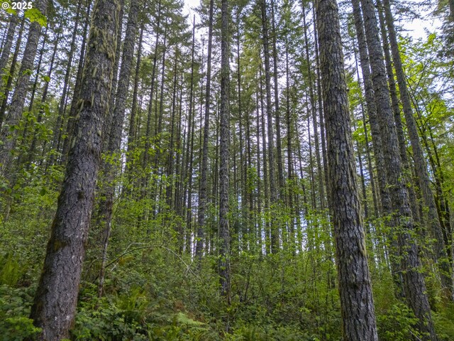 Upper Calapooia Dr, Sweet Home, OR 97386