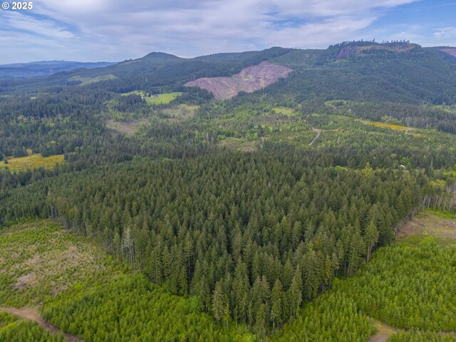 Upper Calapooia Dr, Sweet Home, OR 97386