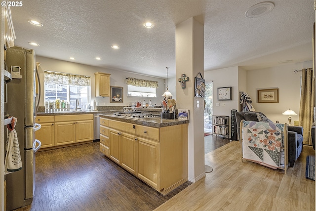 kitchen with open floor plan, stainless steel appliances, light brown cabinetry, and dark wood-style flooring