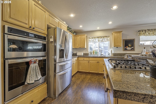 kitchen featuring stainless steel appliances, a healthy amount of sunlight, and light brown cabinetry