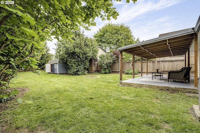 view of yard featuring a patio, a shed, and an outdoor structure