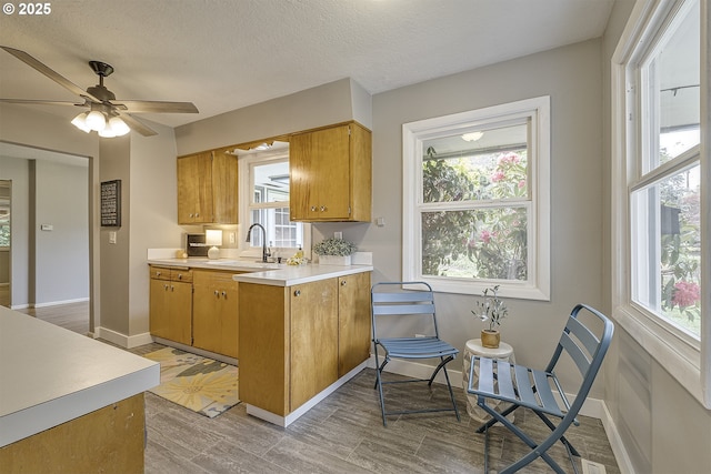 kitchen featuring a sink, light countertops, light wood-type flooring, plenty of natural light, and a textured ceiling
