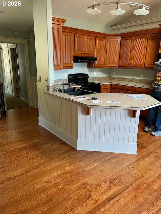 kitchen featuring black / electric stove, vaulted ceiling, a peninsula, under cabinet range hood, and light wood-style flooring