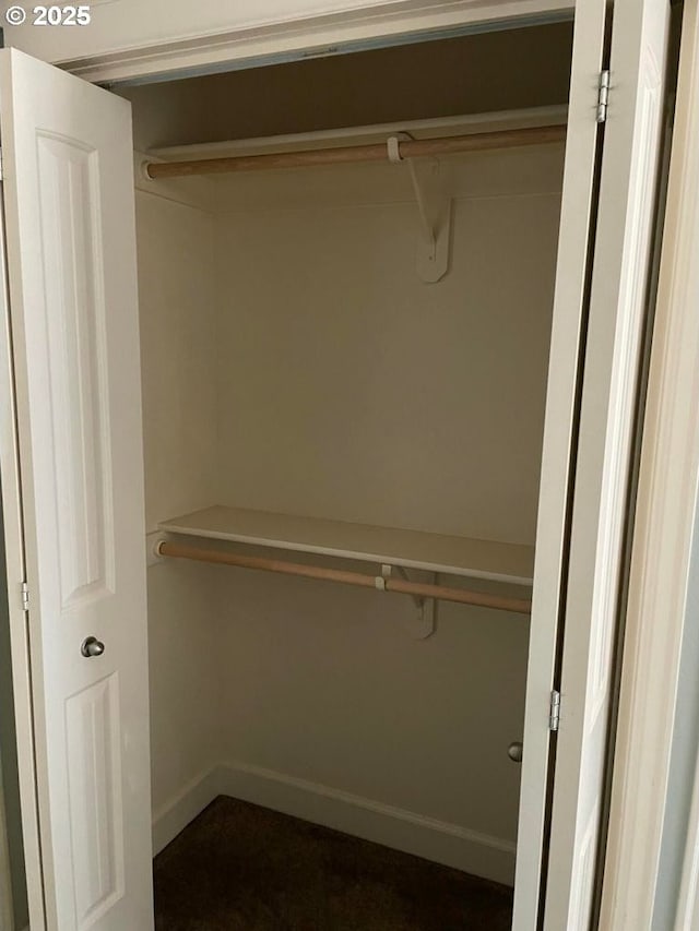 view of closet