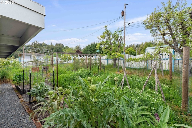 1296 W Central Blvd, Coquille, OR 97423 - view of yard featuring a vegetable garden