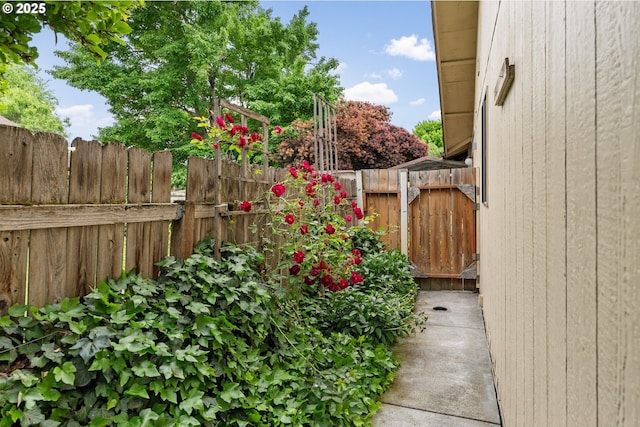 4131 Jessen Dr, Eugene, OR 97402 - view of yard