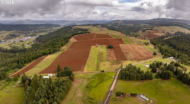 1066 Red Hill Rd, Oakland, OR 97462 - aerial view of sparsely populated area featuring a mountain backdrop