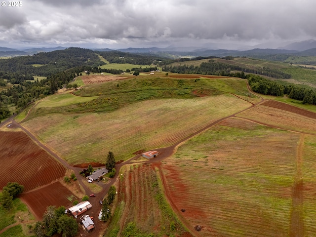 1066 Red Hill Rd, Oakland, OR 97462 - view of rural area with a mountainous background