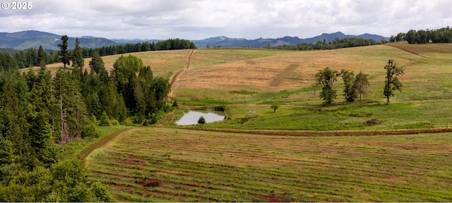 1066 Red Hill Rd, Oakland, OR 97462 - view of mountain background with rural landscape