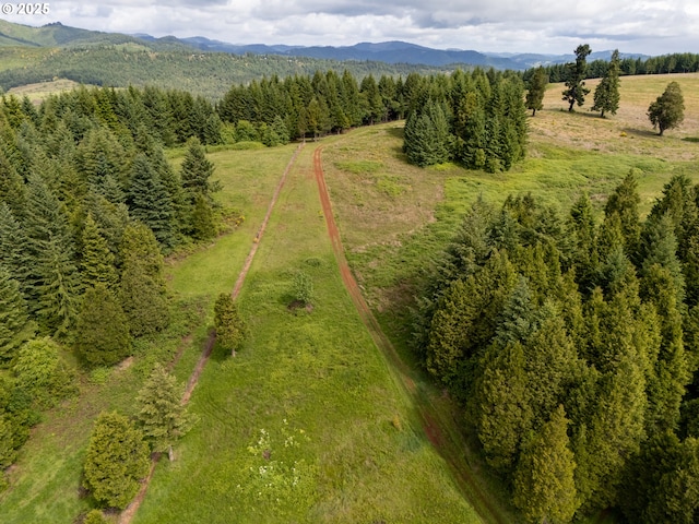 1066 Red Hill Rd, Oakland, OR 97462 - bird's eye view of a mountainous background