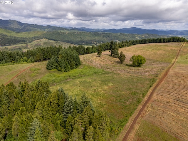 1066 Red Hill Rd, Oakland, OR 97462 - aerial view of sparsely populated area featuring mountains
