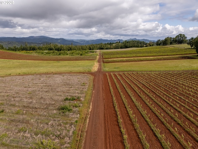 1066 Red Hill Rd, Oakland, OR 97462 - view of mountain background featuring rural landscape and large plots for crops