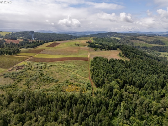 1066 Red Hill Rd, Oakland, OR 97462 - aerial view of mountains and a heavily wooded area