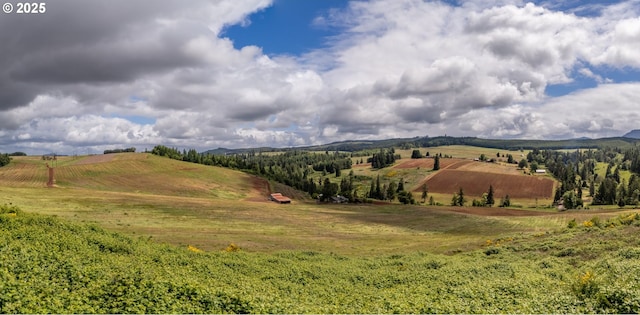 1066 Red Hill Rd, Oakland, OR 97462 - view of mountain backdrop with rural landscape