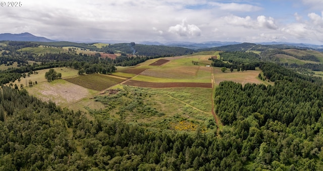 1066 Red Hill Rd, Oakland, OR 97462 - drone / aerial view of a mountain backdrop and a heavily wooded area