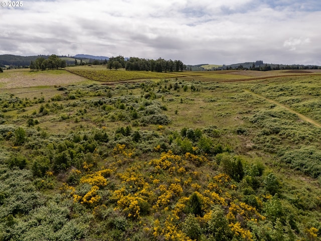 1066 Red Hill Rd, Oakland, OR 97462 - view of yard featuring a view of rural / pastoral area