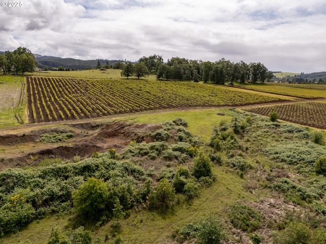 1066 Red Hill Rd, Oakland, OR 97462 - overview of rural landscape with extensive farmland