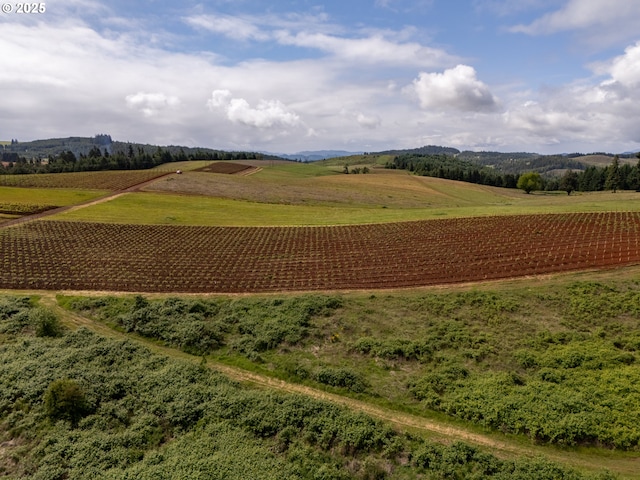 1066 Red Hill Rd, Oakland, OR 97462 - view of community featuring agricultural plots and a rural view