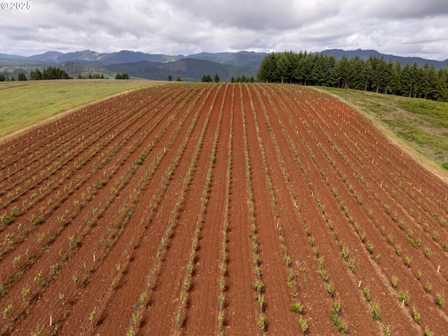 1066 Red Hill Rd, Oakland, OR 97462 - mountain view with rural landscape and rows of crops