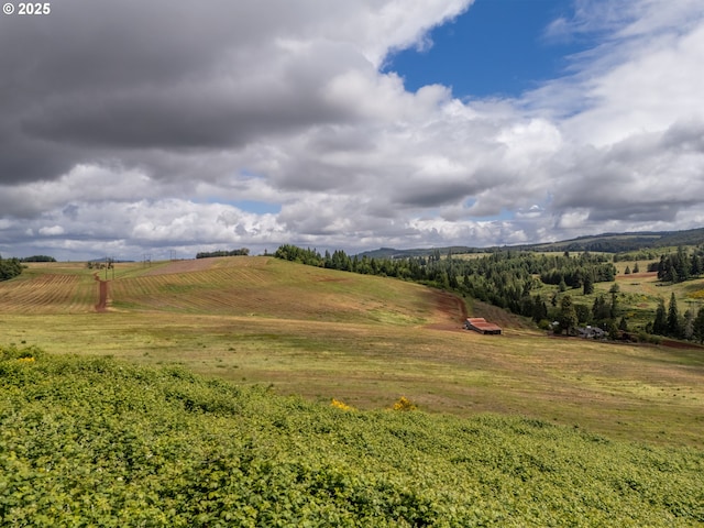 1066 Red Hill Rd, Oakland, OR 97462 - view of yard featuring a rural view