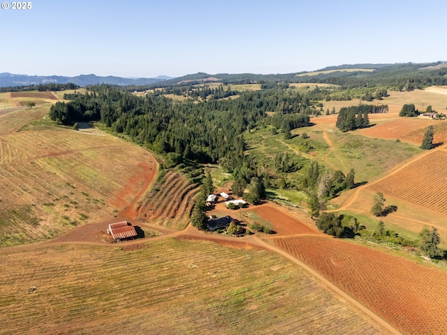 1066 Red Hill Rd, Oakland, OR 97462 - aerial overview of property's location with rural landscape and mountains