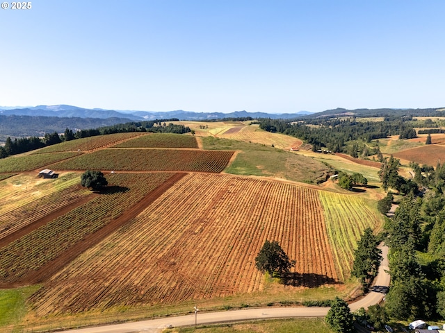1066 Red Hill Rd, Oakland, OR 97462 - overview of rural landscape with farmland and a mountainous background