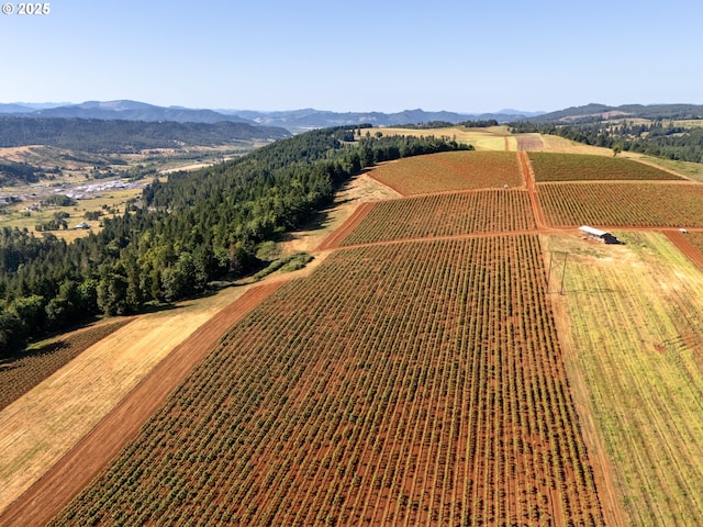 1066 Red Hill Rd, Oakland, OR 97462 - view of rural area featuring extensive farmland and a mountain backdrop