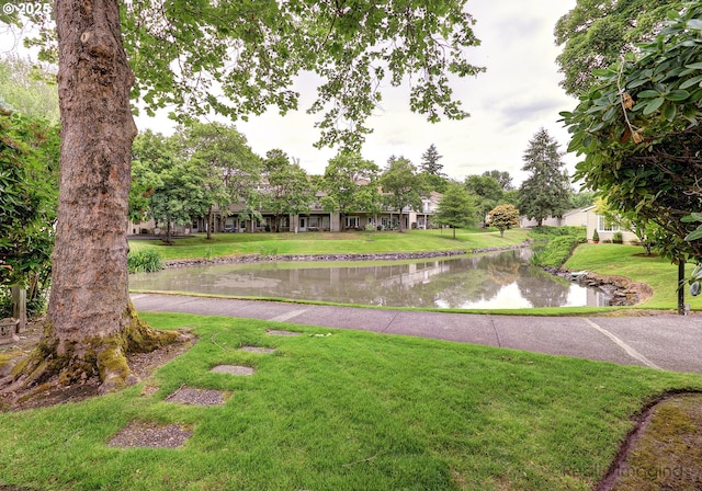 13775 SW Scholls Ferry Rd Unit 16, Beaverton, OR 97008 - view of green lawn featuring a water view