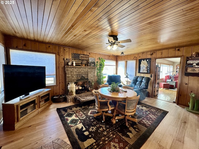 dining room featuring wood ceiling, ceiling fan, wood walls, and light hardwood / wood-style floors