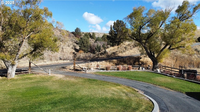 view of community featuring a yard