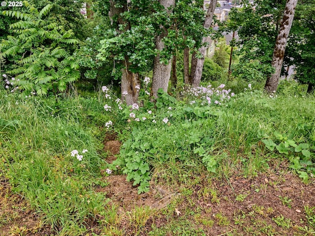 5th St, Silverton, OR 97381