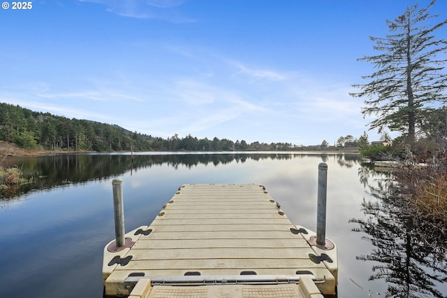 view of dock featuring a water view