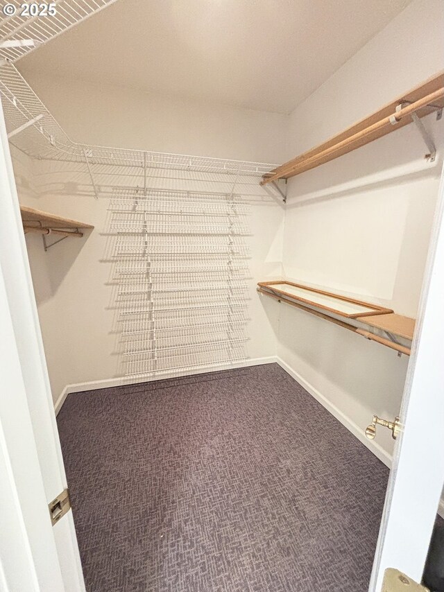 spacious closet with carpet