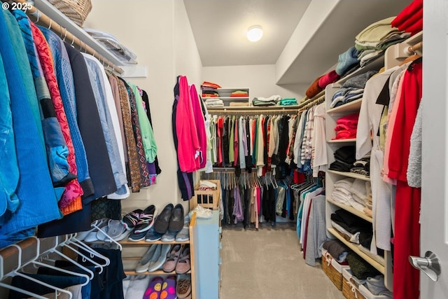spacious closet with carpet floors