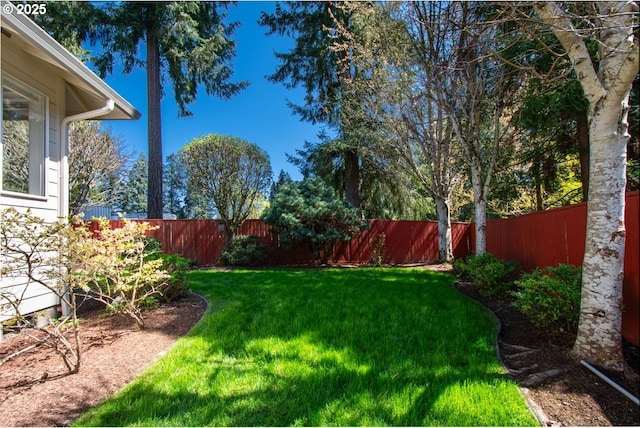 view of yard featuring a fenced backyard