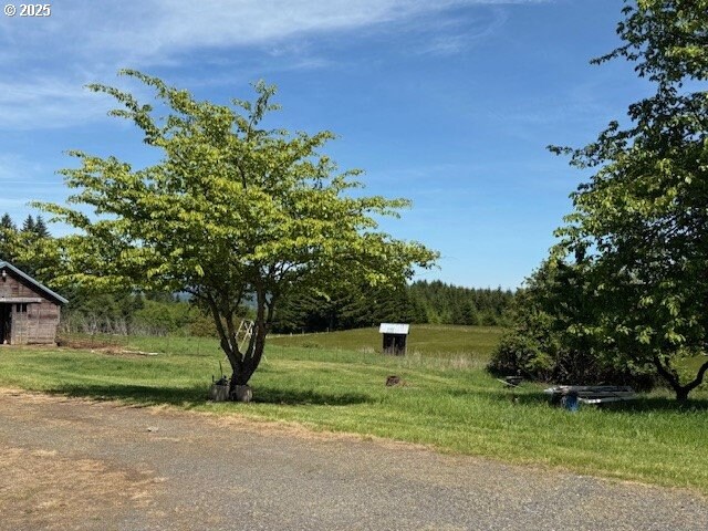 65748 Meissner Rd, Deer Island, OR 97054 - view of yard