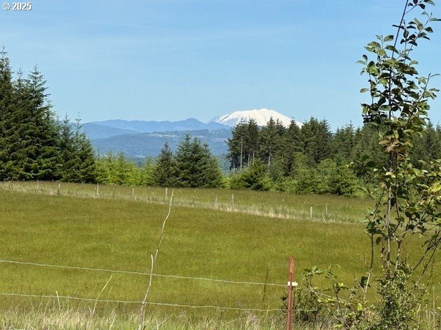 65748 Meissner Rd, Deer Island, OR 97054 - view of mountain background