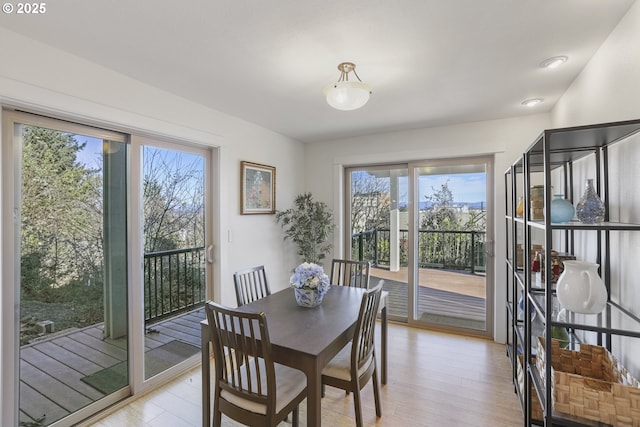 dining area featuring light hardwood / wood-style floors