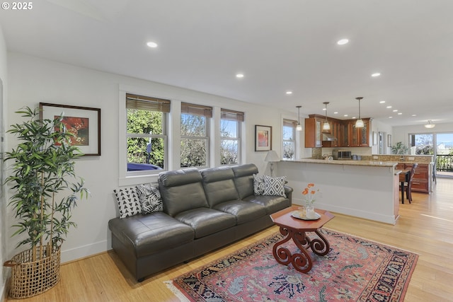 living room featuring light hardwood / wood-style flooring