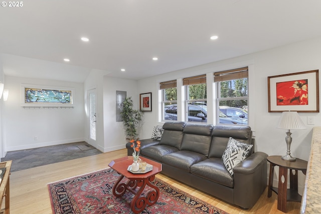 living room featuring hardwood / wood-style flooring