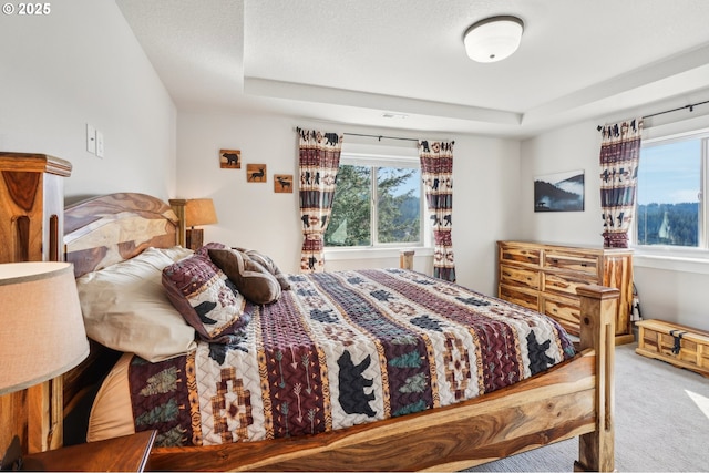 carpeted bedroom featuring a raised ceiling