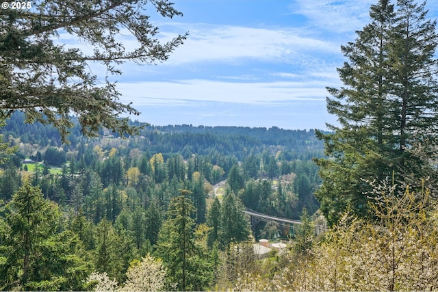 mountain view featuring a wooded view