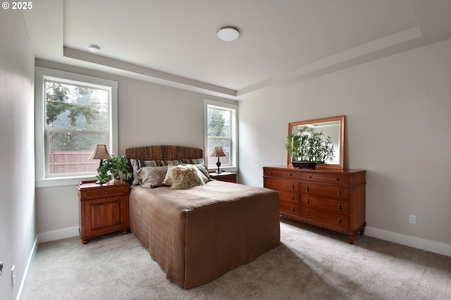 carpeted bedroom with a tray ceiling